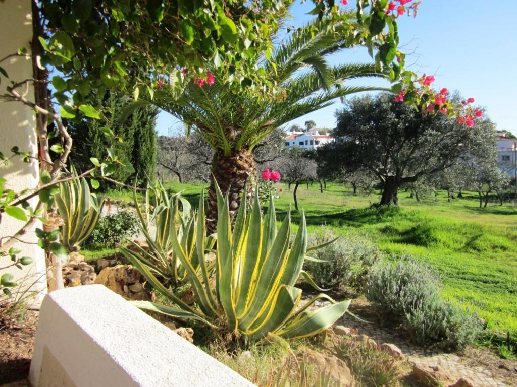 מלון לואה Quinta Mimosa חדר תמונה
